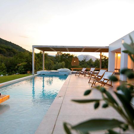 Aristotelia Gi - Premium Luxury Villas With Private Pools Olímbiáda Kültér fotó