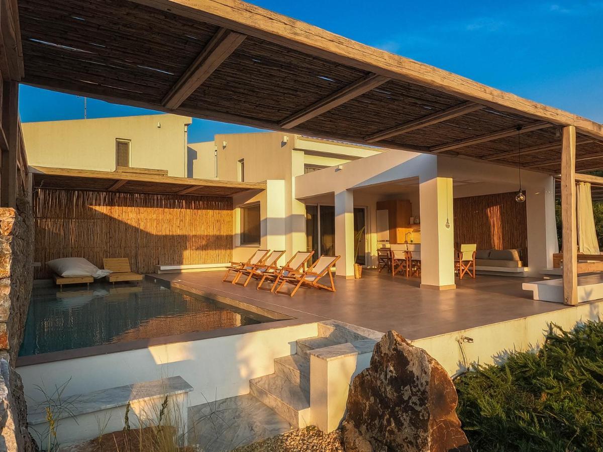 Aristotelia Gi - Premium Luxury Villas With Private Pools Olímbiáda Kültér fotó
