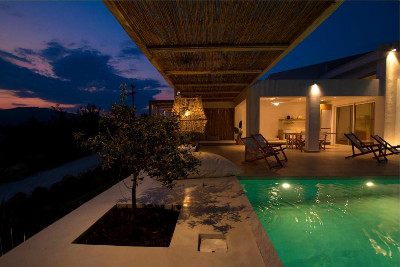 Aristotelia Gi - Premium Luxury Villas With Private Pools Olímbiáda Kültér fotó